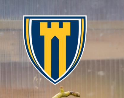 Castle Newnham - Term Dates