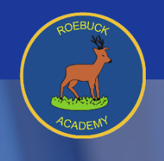 Roebuck Academy Term Dates